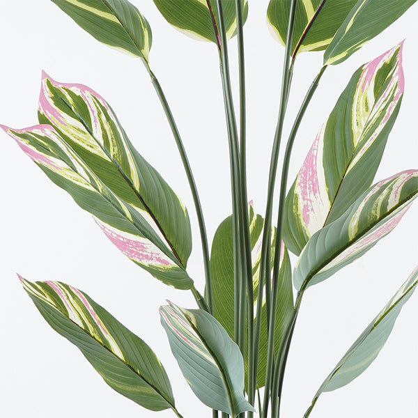 Planta decorativă în ghiveci Aglaonema, plastic, verde, 80x150 cm