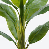 Plantă decorativă în ghiveci Banono, Sintetic, Verde, 95x160 cm