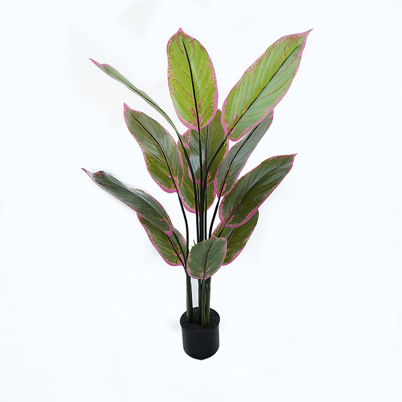 Plantă decorativă în ghiveci Calathea, Plastic, Verde, 68x120 cm