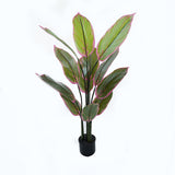 Plantă decorativă în ghiveci Calathea, Plastic, Verde, 68x120 cm