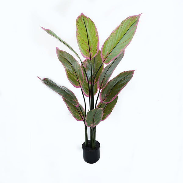 Plantă decorativă în ghiveci Calathea, Plastic, Verde, 68x120 cm