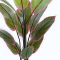 Plantă decorativă în ghiveci Calathea, Plastic, Verde, 68x120 cm, imagine suplimentara