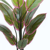 Plantă decorativă în ghiveci Calathea, Plastic, Verde, 68x120 cm, imagine suplimentara