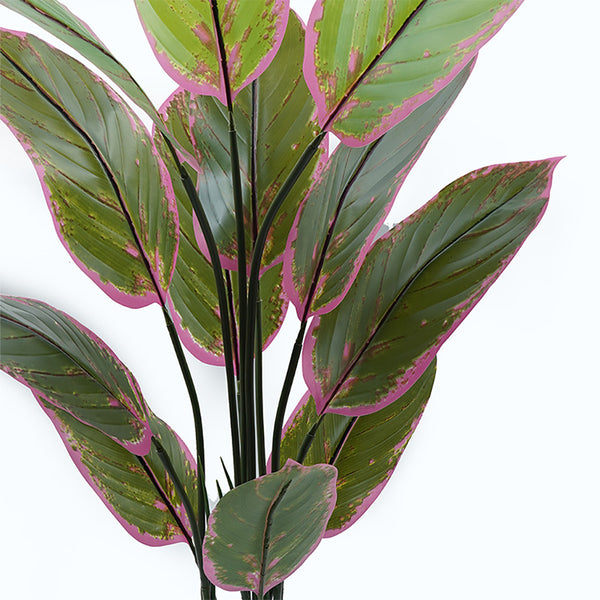 Plantă decorativă în ghiveci Calathea, Plastic, Verde, 68x120 cm