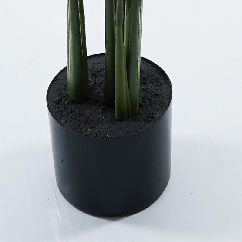 Plantă decorativă în ghiveci Calathea, Plastic, Verde, 68x120 cm