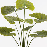 Plantă decorativă în ghiveci cu funcție Alocasia, Plastic, Verde, 90x120 cm