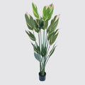 Planta Artificiala Plantă decorativă în ghiveci cu noroc Lucky, Sintetic, 80x180 cm