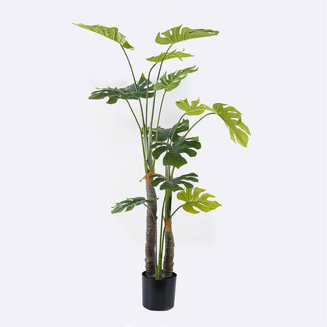 Plantă decorativă în ghiveci Deliciosa I, Sintetic, Verde, 90x160 cm