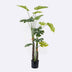 Planta Artificiala Plantă decorativă în ghiveci Deliciosa I, Sintetic, 90x160 cm, Verde