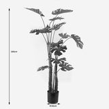 Plantă decorativă în ghiveci Deliciosa I, Sintetic, Verde, 90x160 cm