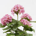 Plantă decorativă în ghiveci Hydrangea, Sintetic, Roz, 35x50 cm, imagine suplimentara