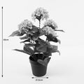 Plantă decorativă în ghiveci Hydrangea, Sintetic, Roz, 35x50 cm, perspectiva suplimentara