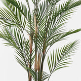 Planta decorativă în ghiveci Kwai, Plastic, Verde, 92x150 cm