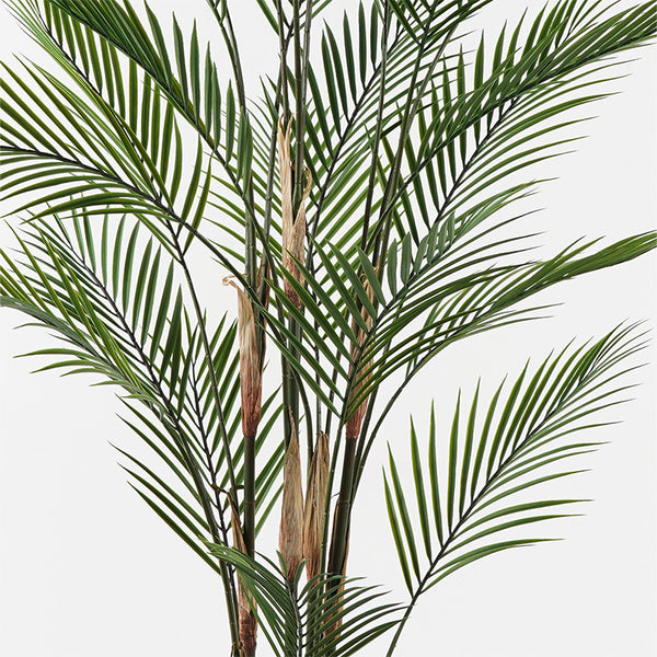 Planta decorativă în ghiveci Kwai, Plastic, Verde, 92x150 cm