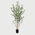 Planta Artificiala Plantă decorativă în ghiveci, Olia, Verde, 65x55x180 cm, Plastic
