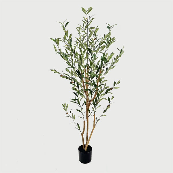 Plantă decorativă în ghiveci, Olia, Plastic, Verde, 65x55x180 cm