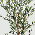 Plantă decorativă în ghiveci, Olia, Plastic, Verde, 65x55x180 cm, imagine suplimentara