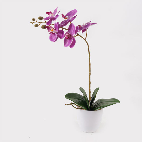 Plantă decorativă în ghiveci, Orhidee Orchid Beauty, Sintetic, Mov, 30x13x46 cm