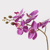 Plantă decorativă în ghiveci, Orhidee Orchid Beauty, Sintetic, Mov, 30x13x46 cm