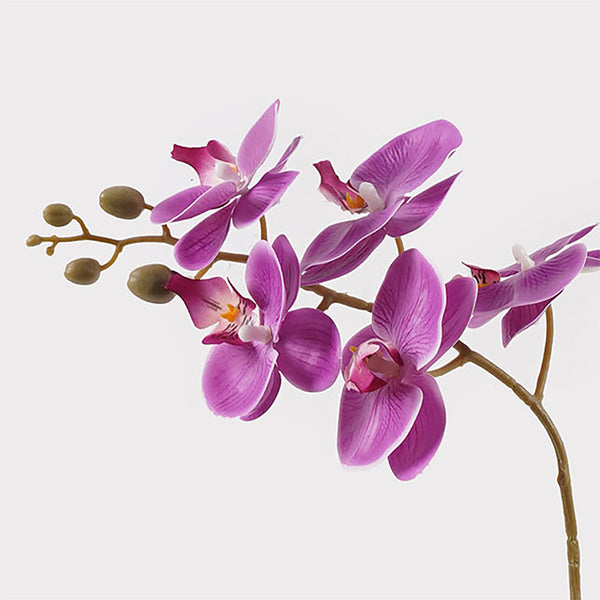 Plantă decorativă în ghiveci, Orhidee Orchid Beauty, Sintetic, Mov, 30x13x46 cm
