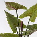 Plantă decorativă în ghiveci Wentii, plastic, verde, 130x180 cm, imagine suplimentara