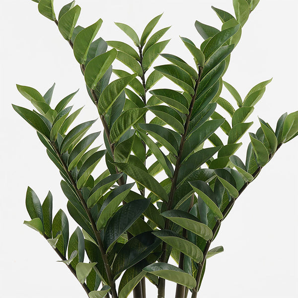 Plantă decorativă în ghiveci Zamia, sintetic, Verde, 52x88 cm