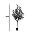 Planta decorativa Lamâi în ghiveci, Înaltime 180cm, imagine suplimentara