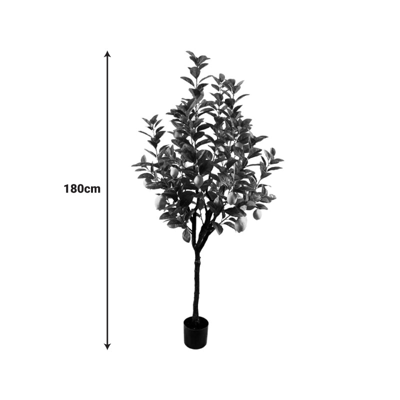 Planta decorativa Lamâi în ghiveci, Înaltime 180cm, imagine suplimentara