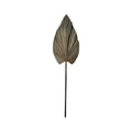Accesoriu Decorativ Planta decorativa Leafen Boho Natural 35x60x130 cm