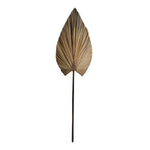 Accesoriu Decorativ Planta decorativa Leafen Boho Natural 50x75x150 cm