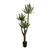 Planta decorativa Lotus cu ghiveci, Înaltime 150cm