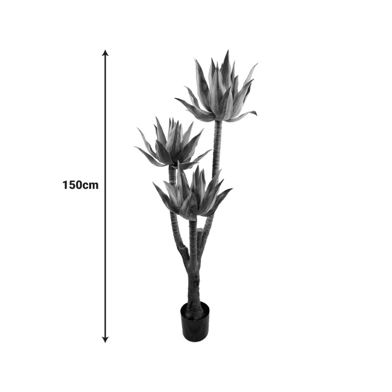 Planta decorativa Lotus cu ghiveci, Înaltime 150cm, imagine suplimentara