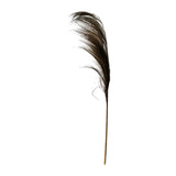 Accesoriu Decorativ Planta decorativa Pampasion Boho Natural 80x1x150 cm