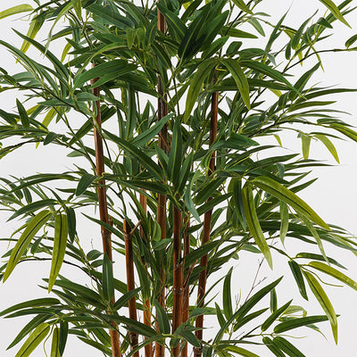 Plantă decorativă Rhapis Palm, Verde, Plastic, 120 cm înălțime, 60x60x120 cm, imagine suplimentara