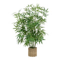 Planta ghiveci Belica D45x100 cm