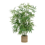 Planta ghiveci Belica, Verde, D45x100 cm