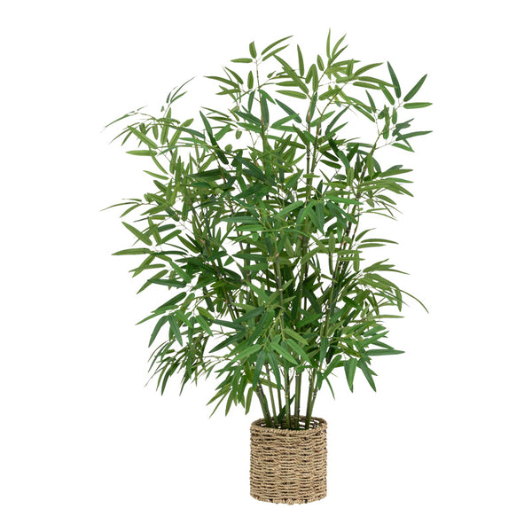 Planta ghiveci Belica, Verde, D45x100 cm