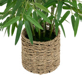 Planta ghiveci Belica, Verde, D45x100 cm, imagine suplimentara