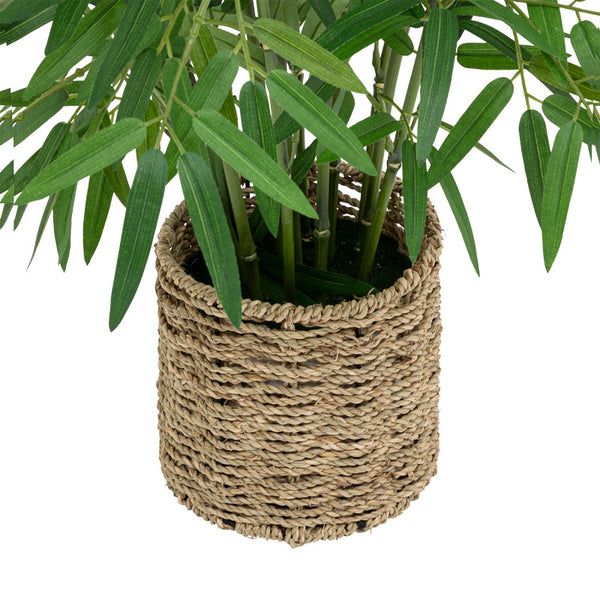 Planta ghiveci Belica, Verde, D45x100 cm
