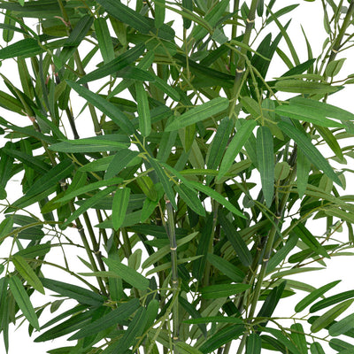 Planta ghiveci Belica, Verde, D45x100 cm, detaliu produs