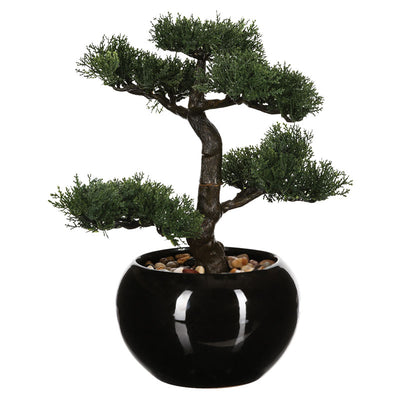 Planta ghiveci Verde18 35x32x34 cm