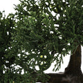 Planta ghiveci Verde18, Verde, 35x32x34 cm, imagine suplimentara