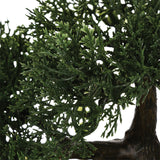 Planta ghiveci Verde18, Verde, 35x32x34 cm