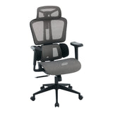Scaun de birou ergonomic Ergo Flow, Negru-Gri, 73x64x112-135 cm