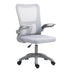 Scaun de birou manager Annalize plasa Gri 57x53x100cm