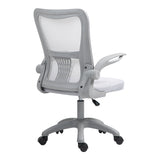 Scaun de birou manager Annalize plasa, Gri, 57x53x100 cm