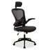 Scaun de birou Manager Ergoline cu plasa neagra 65x62 cm