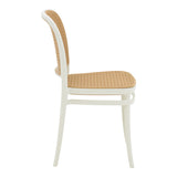Scaun Nereus, Alb - Negru, 45x43x84 cm - Alb