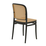 Scaun Nereus, Alb - Negru, 45x43x84 cm - Negru