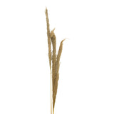 Set 3 Piese Frunze Deco Pampas, H140cm, Decor Interior Relaxant, Naturala, 14x5x140 cm